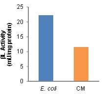 Beta Lactamase Activity Assay Kit (Colorimetric)(AB197008)