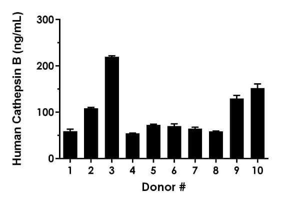 Human Cathepsin B ELISA Kit(AB272205)