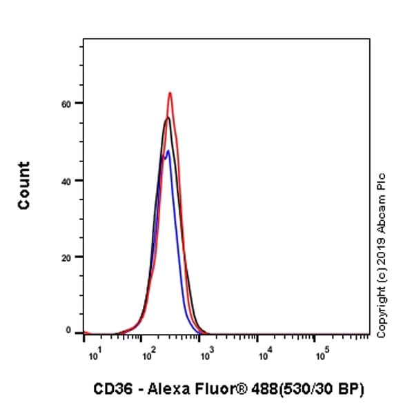 Anti-CD36 antibody [EPR22509-40](ab252922)