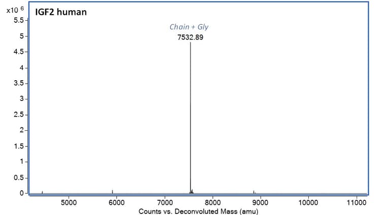Recombinant Human IGF2 protein (Active)(AB283420)