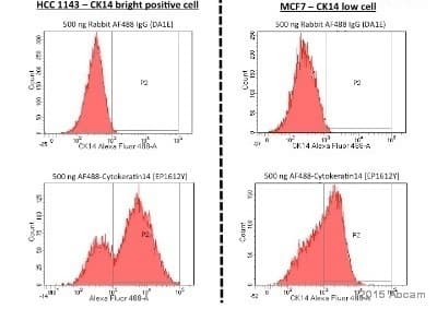 Alexa Fluor® 488 Anti-Cytokeratin 14 antibody [EP1612Y](AB192055)