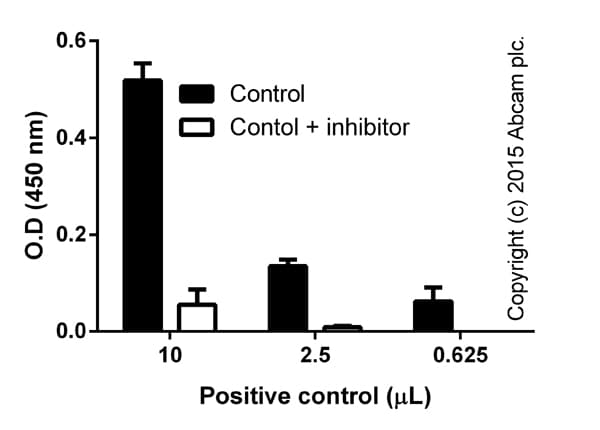 NFkB p65 Transcription Factor Assay Kit(AB133112)