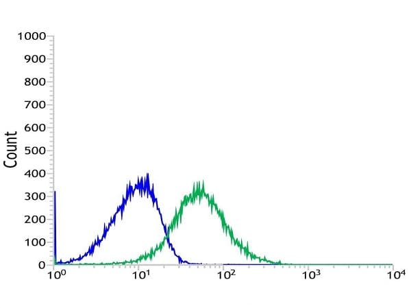 Anti-HLA-DPB1 antibody [SP229](AB227676)