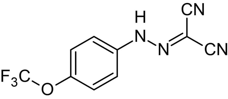 FCCP, mitochondrial oxidative phosphorylation uncoupler(AB120081)