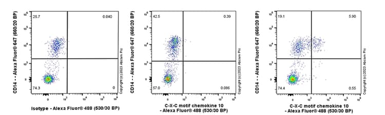 Goat Anti-Rabbit IgG H&L (Alexa Fluor® 488) preadsorbed(AB150081)