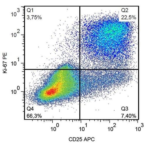PE Anti-Ki67 antibody [Ki-67](AB270650)