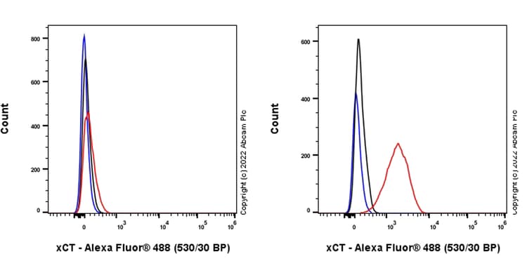 Anti-xCT antibody [EPR27115-64](AB307601)