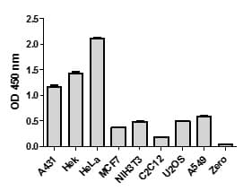 STAT 5 A/B ELISA Kit(AB205714)