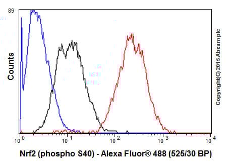 Anti-Nrf2 (phospho S40) antibody [EP1809Y](AB76026)