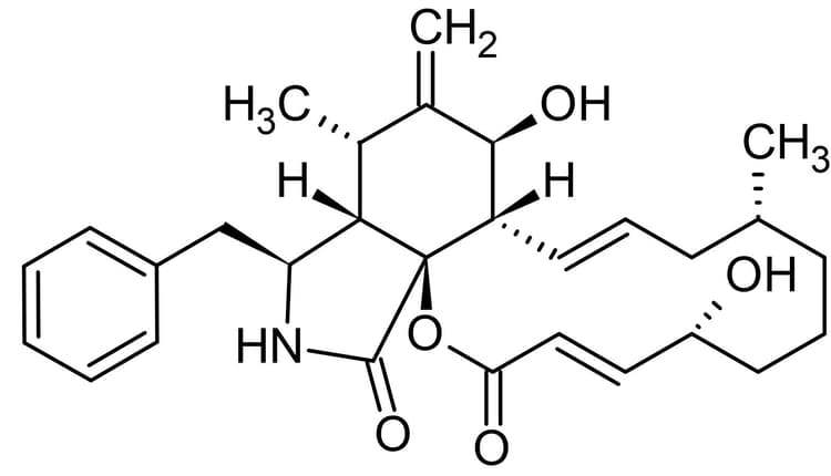 Cytochalasin B, actin polymerization inhibitor(AB143482)