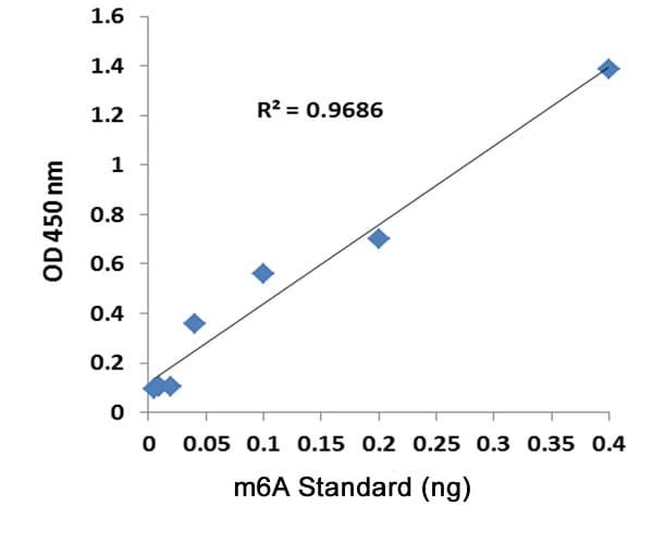 m6A DNA Methylation Assay Kit (Colorimetric)(AB233488)