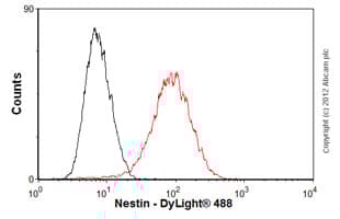 Anti-Nestin antibody [SP103](AB105389)