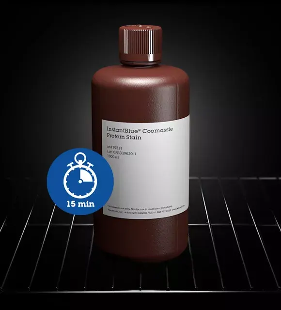 InstantBlue® Coomassie Protein Stain (ISB1L)(AB119211)
