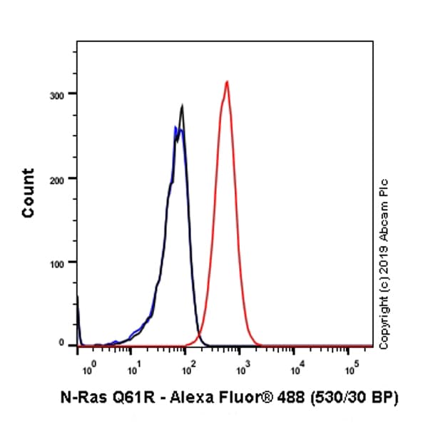 Anti-Ras (mutated Q61R) antibody [SP174](AB227658)
