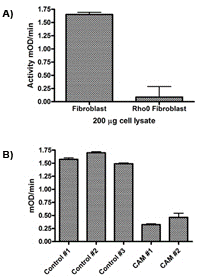 Complex I Enzyme Activity Microplate Assay Kit (Colorimetric)(AB109721)
