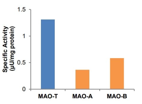 Monoamine Oxidase (MAO) Assay Kit(ab241031)