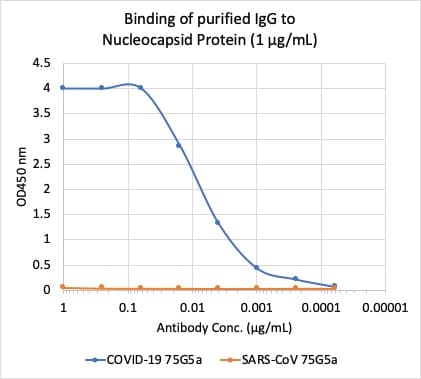 Anti-SARS-CoV-2 nucleocapsid protein antibody [75G5a](AB284653)