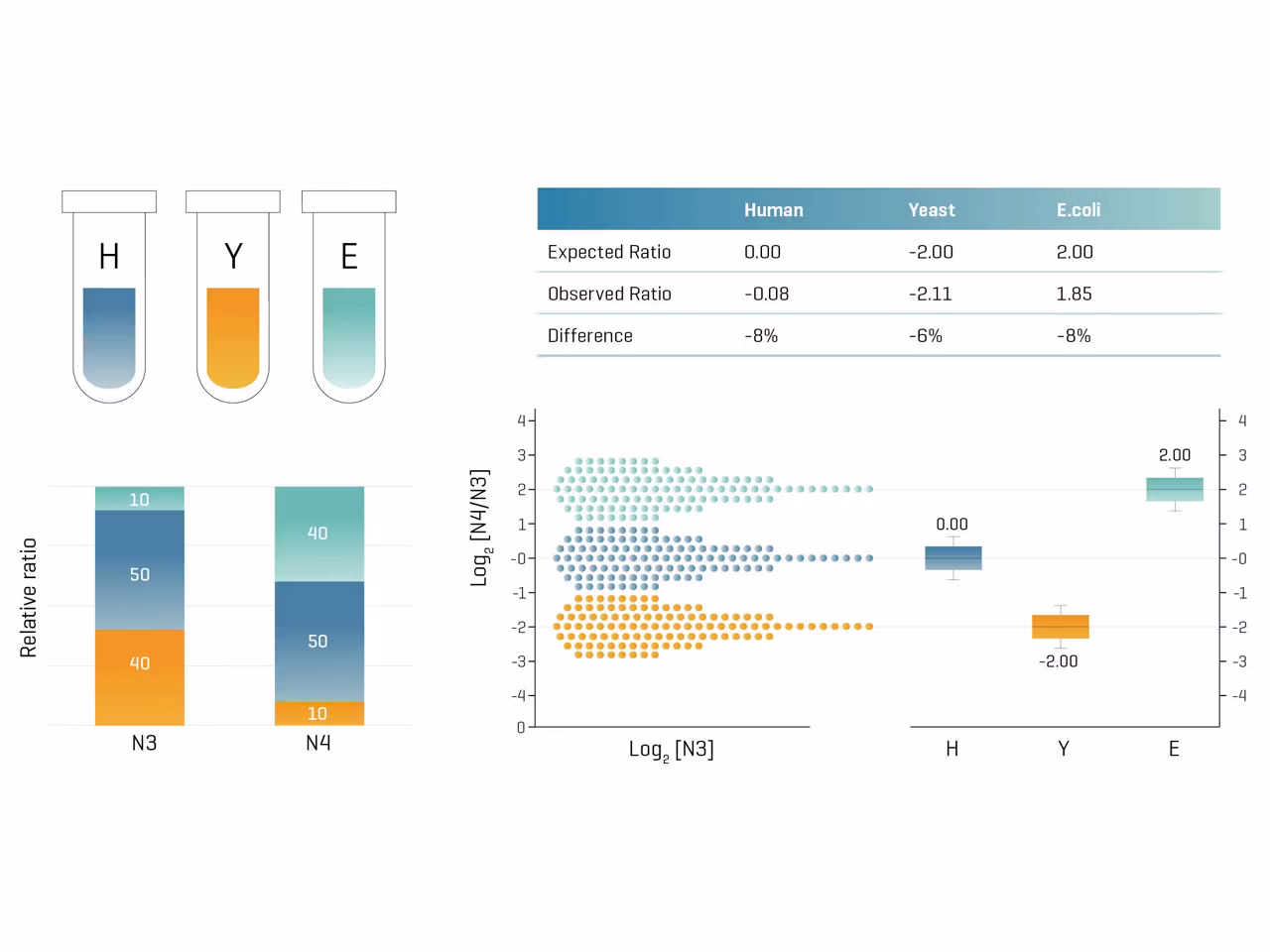 Protein Identification