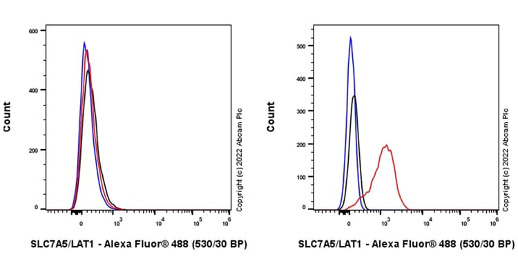 Anti-SLC7A5/LAT1 antibody [EPR26260-66] - BSA and Azide free(AB305252)