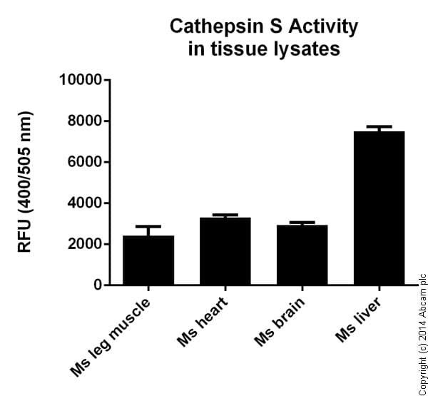 Cathepsin S Activity Assay Kit (Fluorometric)(ab65307)