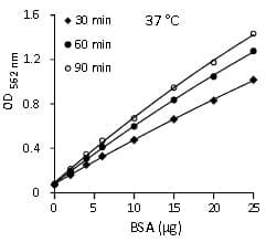 BCA Protein Assay Kit(AB102536)