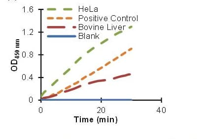 6-Phosphofructokinase Activity Assay Kit (Colorimetric)(AB155898)