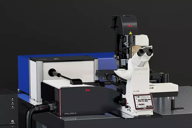 Leica Microsystems Stellaris 8 Crs Hero