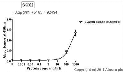 Anti-SOX2 antibody [EPR3131](AB92494)