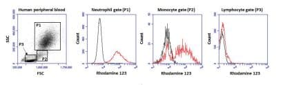 Respiratory Burst Assay Kit (Neutrophil/Monocyte)(ab236210)