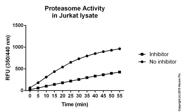 Proteasome Activity Assay Kit(AB107921)