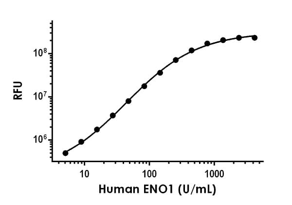 Human ENO1 ELISA Kit, Fluorescent(AB229405)