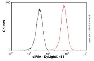 Eif5a Antibody Ep527y Bsa And Azide Free Ab247255  Flow Cytometry Intracellular Img65874