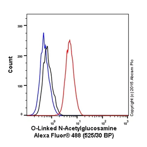 Alexa Fluor® 488 Anti-O-Linked N-Acetylglucosamine antibody [RL2](AB201993)