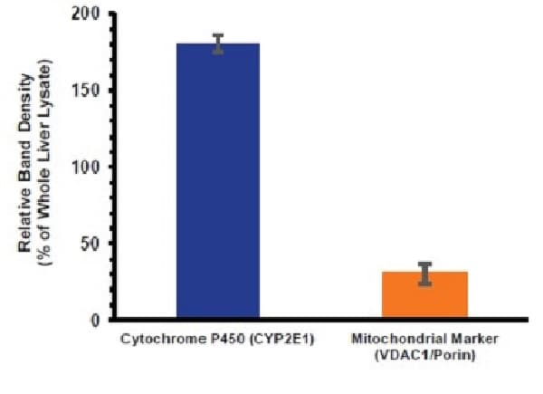 Microsome isolation kit(AB206995)