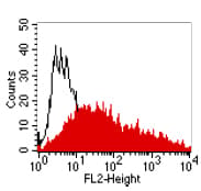 Ceacam1 Ceacam5 Antibody 4 3 17 Ab91213  Flow Cytometry Img63338