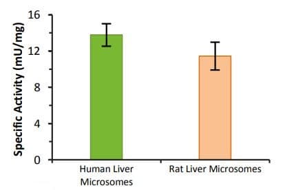 UGT Activity Assay / Ligand Screening Kit (Fluorometric)(AB273331)
