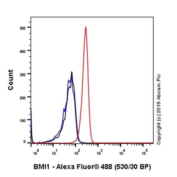 Anti-Bmi1 antibody [EPR22604-160] - ChIP Grade(ab254253)