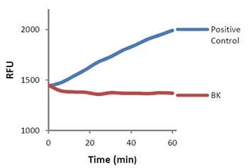 Protease Activity Assay Kit(AB111750)