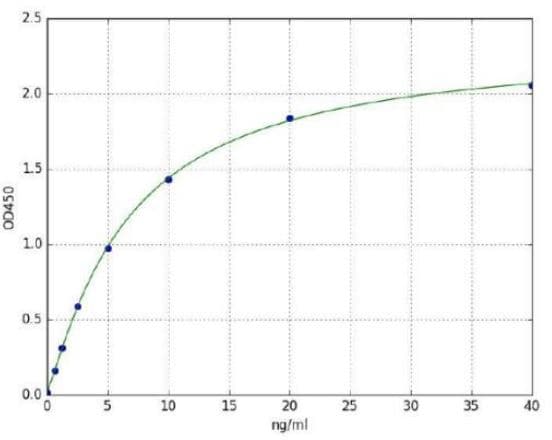 Human PARP1 ELISA Kit(AB285289)