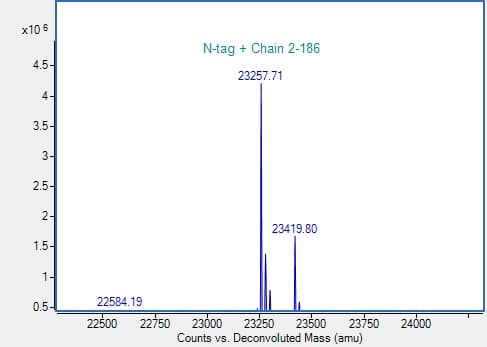 Ab314422  Mass Spectrometry Img420215
