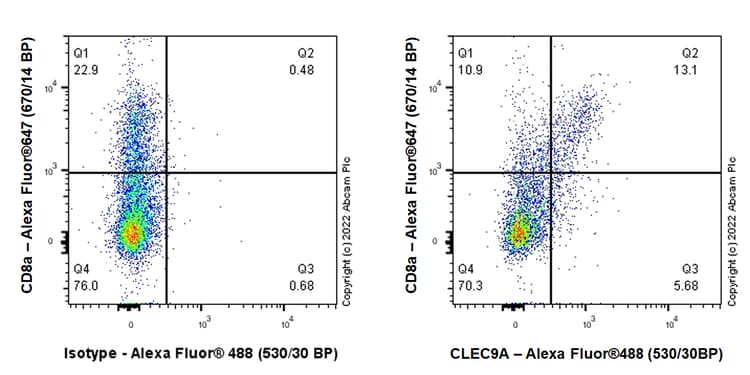 Anti-CLEC9A antibody [EPR24271-117] (BSA and Azide free)(AB300434)