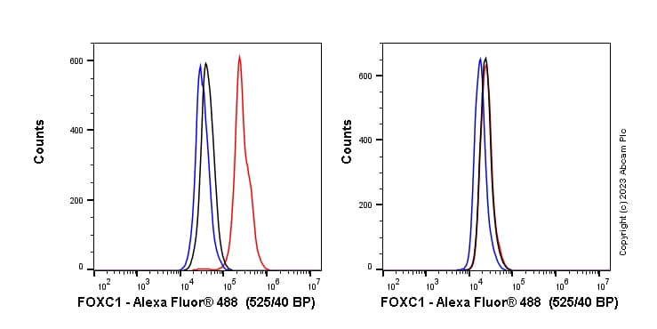 Anti-FOXC1 antibody [EPR20685](ab227977)