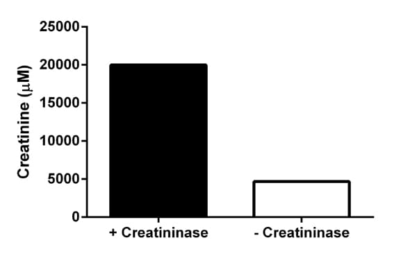 Creatinine Assay Kit(AB65340)