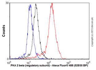 Prkar2b Antibody Ep2648 Bsa And Azide Free Ab284731  Flow Cytometry Intracellular Img113603