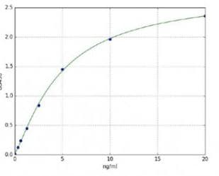 Human Caspase-3 ELISA Kit(AB285337)