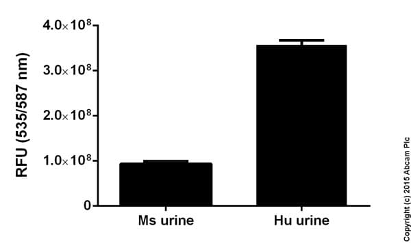 Creatinine Assay Kit(AB65340)