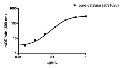 Catalase Activity Assay Kit (Immunocapture)(AB118184)