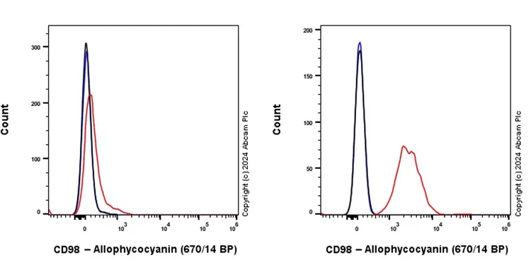 APC Rabbit IgG, monoclonal [EPR25A] - Isotype Control(AB232814)