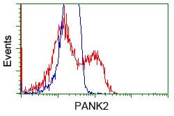 Pank2 Antibody Oti3h9 Ab119070  Flow Cytometry Intracellular Img73544