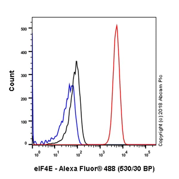 Anti-eIF4E antibody [Y448] - BSA and Azide free(AB240923)